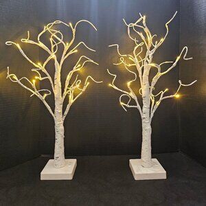 Two Piece LED, Faux Birch Tree Bendable Branches Warm Lights, Battery Operated